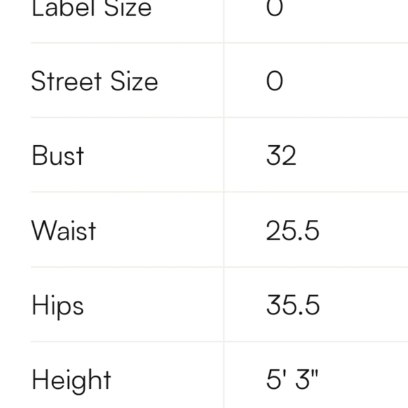 White by Vera Wang Ivory trumpet organza wedding gown VW351011 size 0 NWOT - Picture 10 of 10